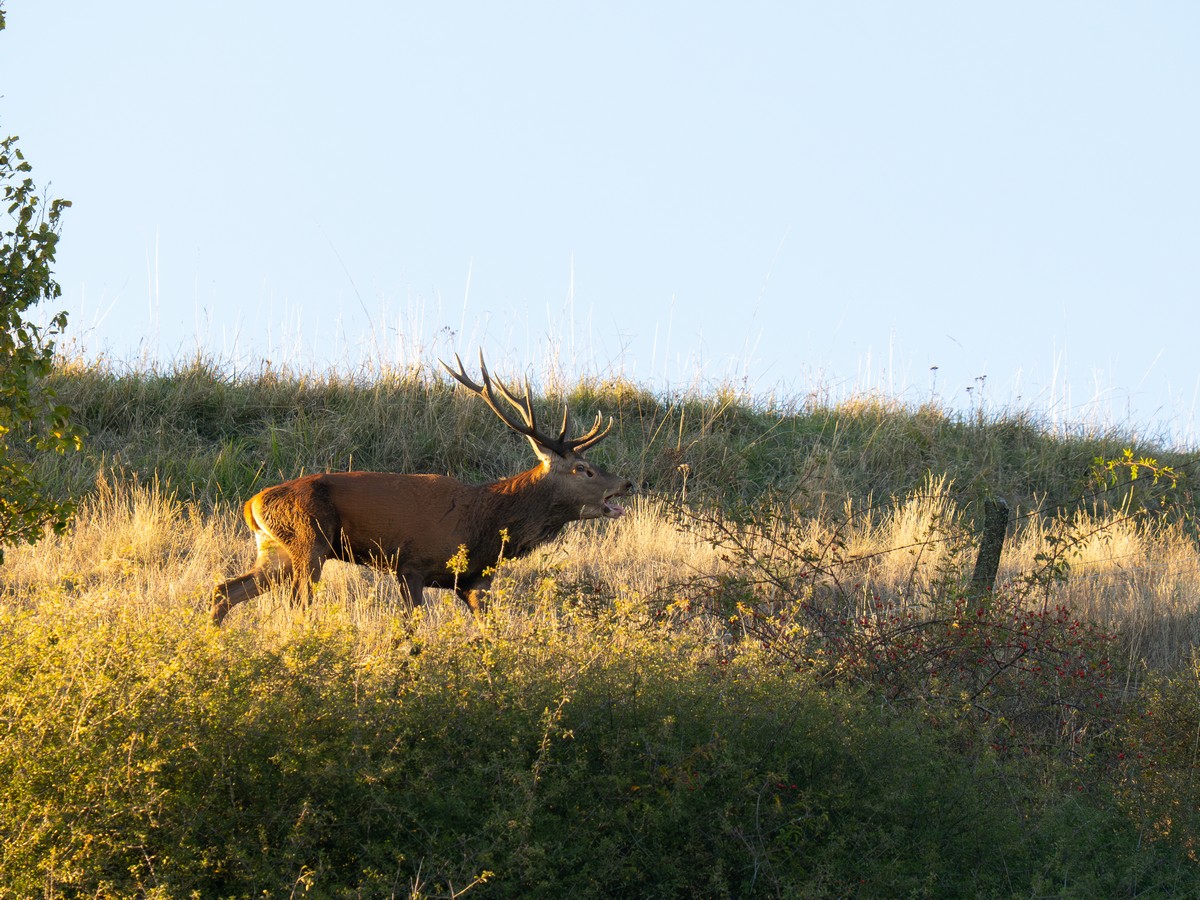 06102025-06 10 25 (30).jpg